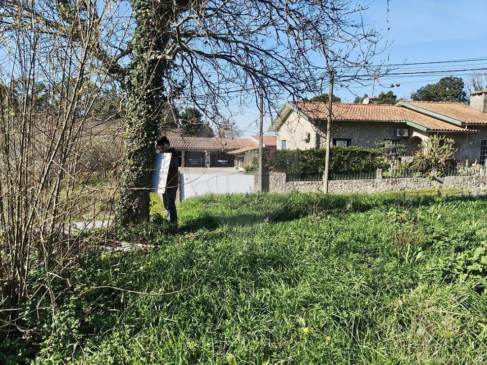 Terreno para Venda em Pinheiro da Bemposta, Travanca e Palmaz Foto 3