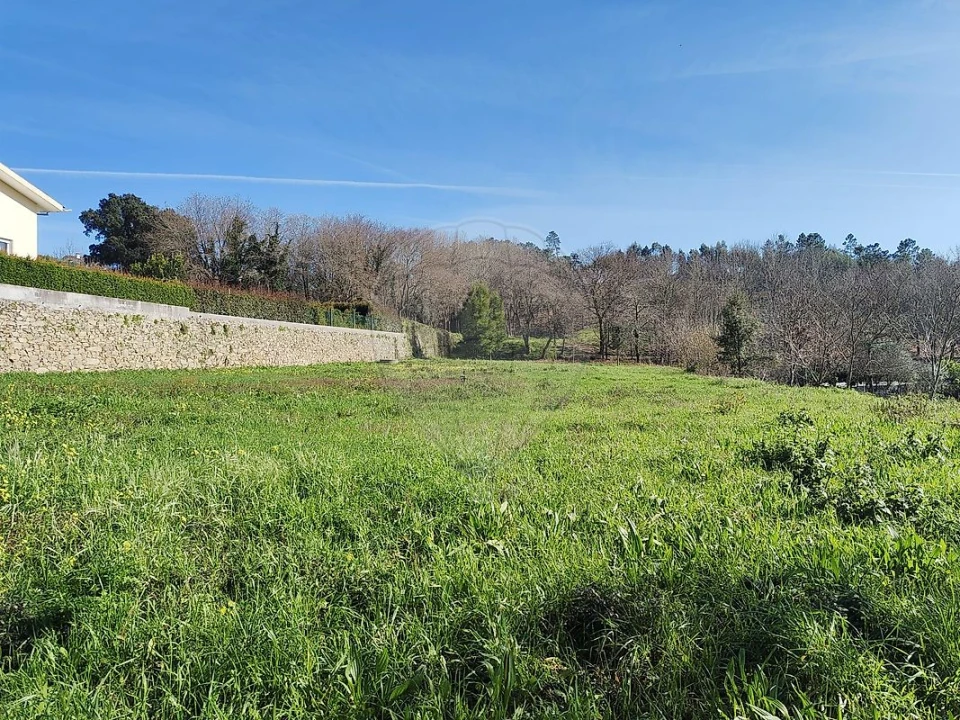Terreno para Venda em Pinheiro da Bemposta, Travanca e Palmaz Foto 5