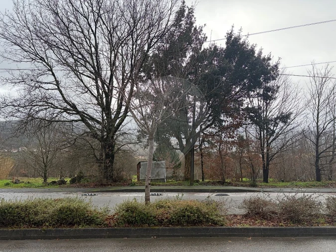 Terreno para Venda em São Pedro de Castelões Foto 4