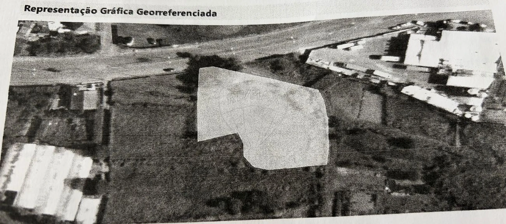 Terreno para Venda em São Pedro de Castelões Foto 7