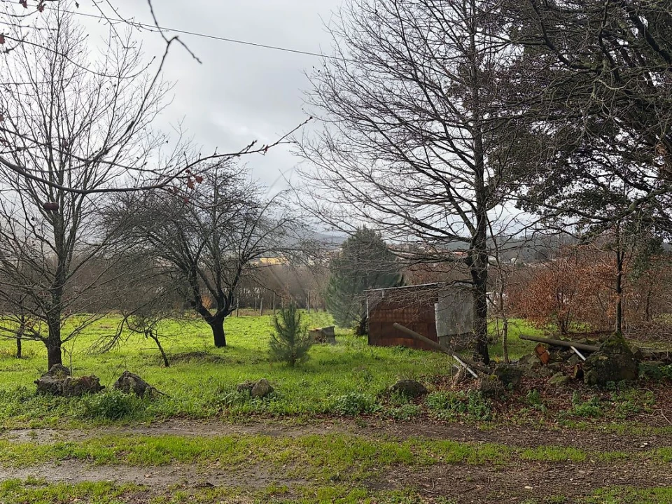 Terreno para Venda em São Pedro de Castelões Foto 3