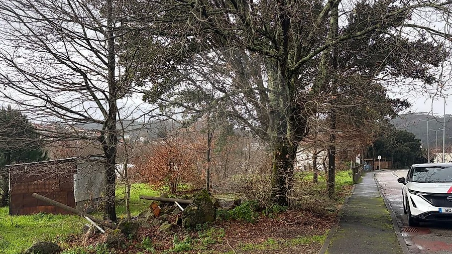 Terreno para Venda em São Pedro de Castelões