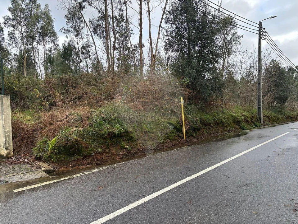 Terreno para Venda em São Miguel do Souto e Mosteirô Foto 5