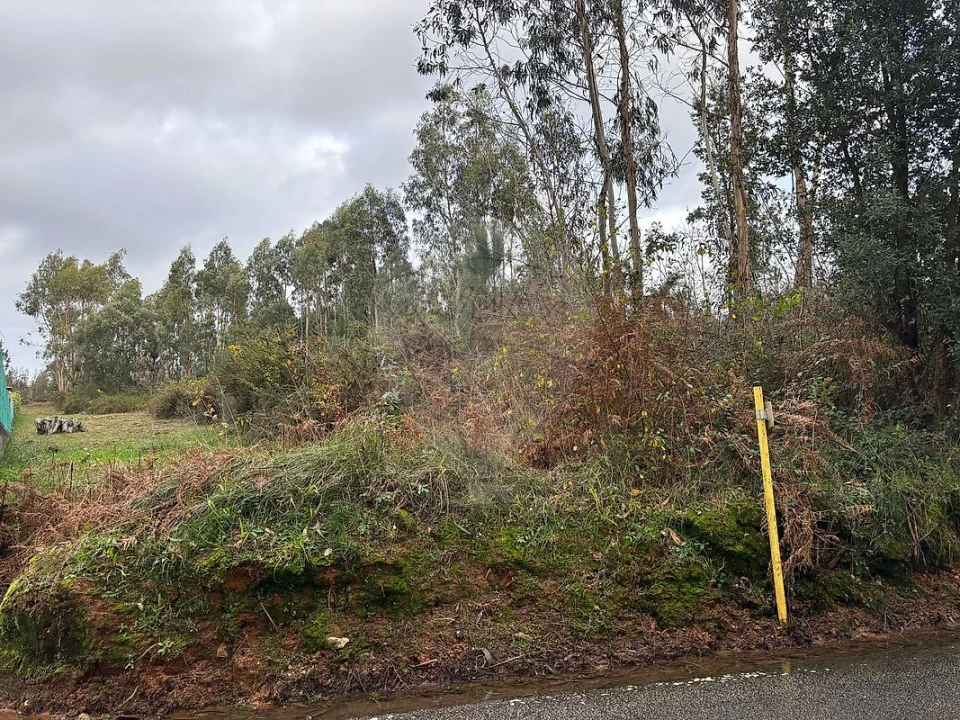 Terreno para Venda em São Miguel do Souto e Mosteirô Foto 4