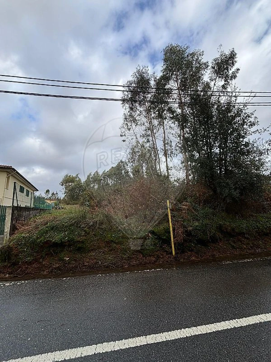 Terreno para Venda em São Miguel do Souto e Mosteirô Foto 2