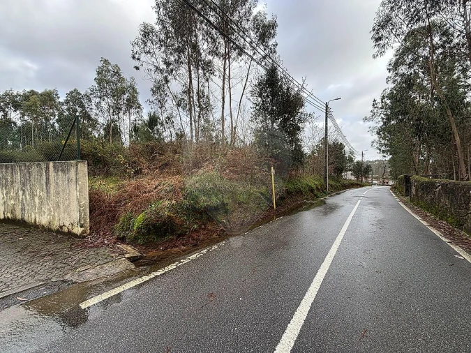 Terreno para Venda em São Miguel do Souto e Mosteirô Foto 6