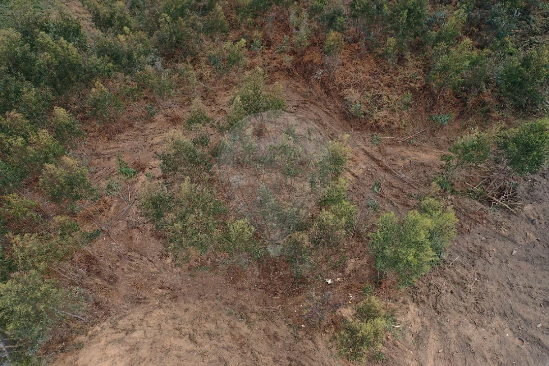 Terreno para Venda em Escapães Foto 10