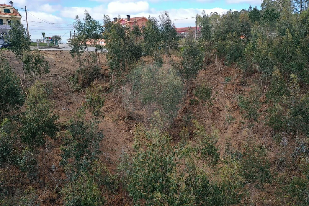 Terreno para Venda em Escapães Foto 15