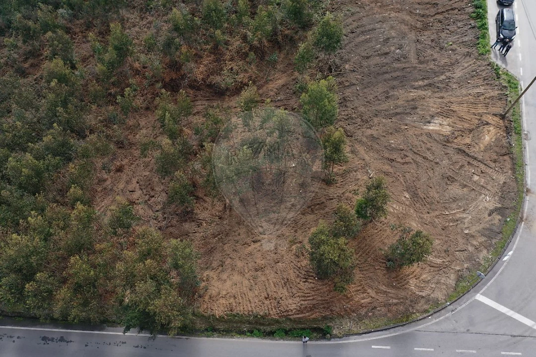 Terreno para Venda em Escapães Foto 8