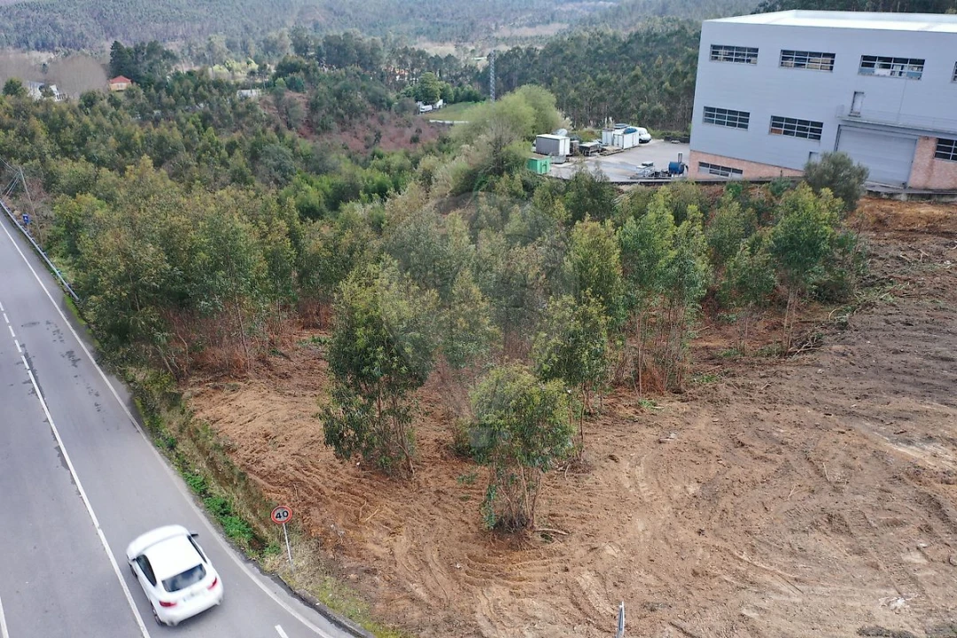 Terreno para Venda em Escapães Foto 11