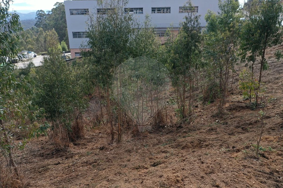 Terreno para Venda em Escapães Foto 7