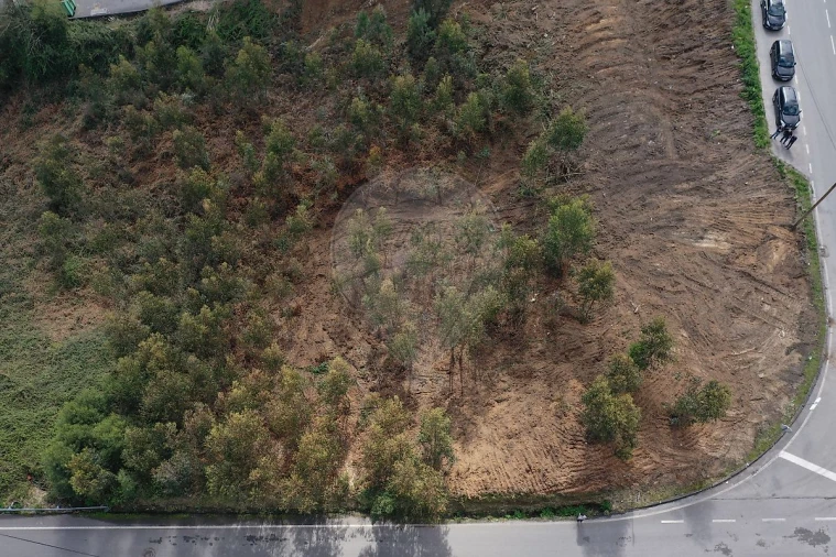 Terreno para Venda em Escapães Foto 6