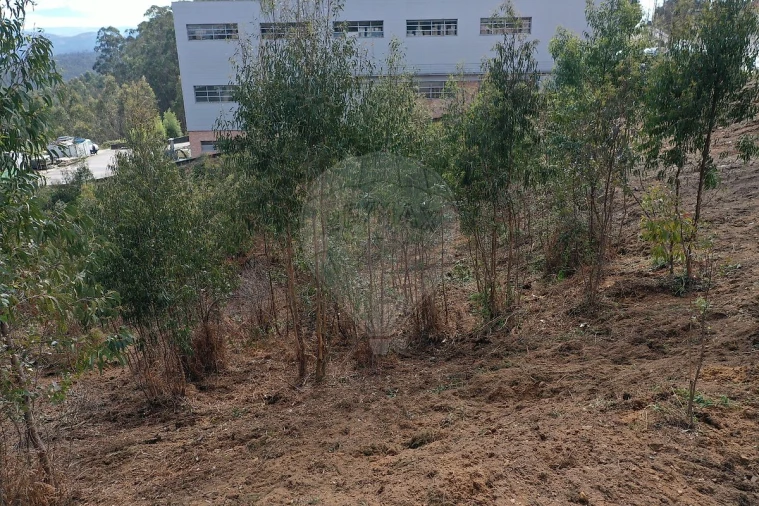 Terreno para Venda em Escapães Foto 7