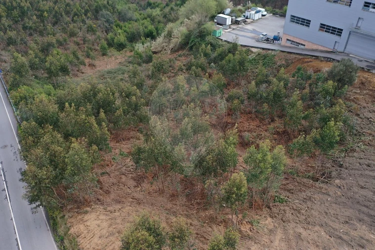 Terreno para Venda em Escapães Foto 12