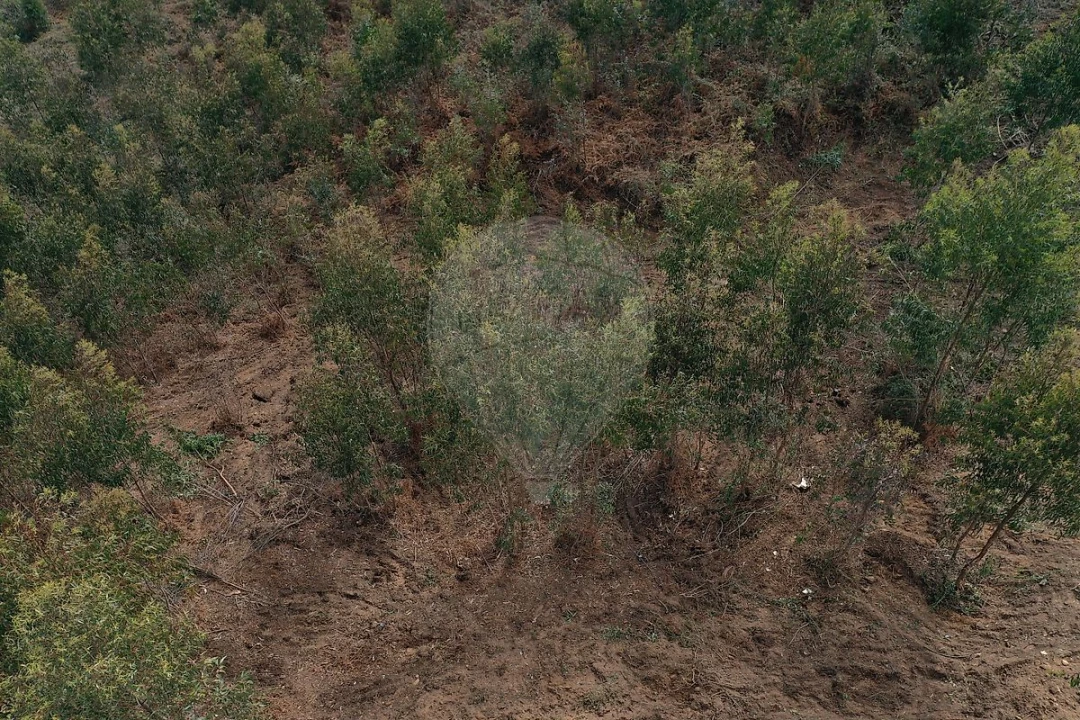 Terreno para Venda em Escapães Foto 9