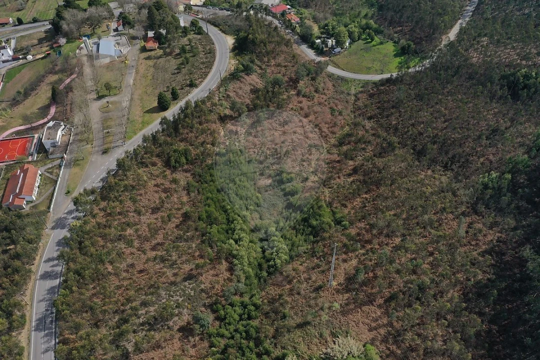 Terreno para Venda em Escapães Foto 23