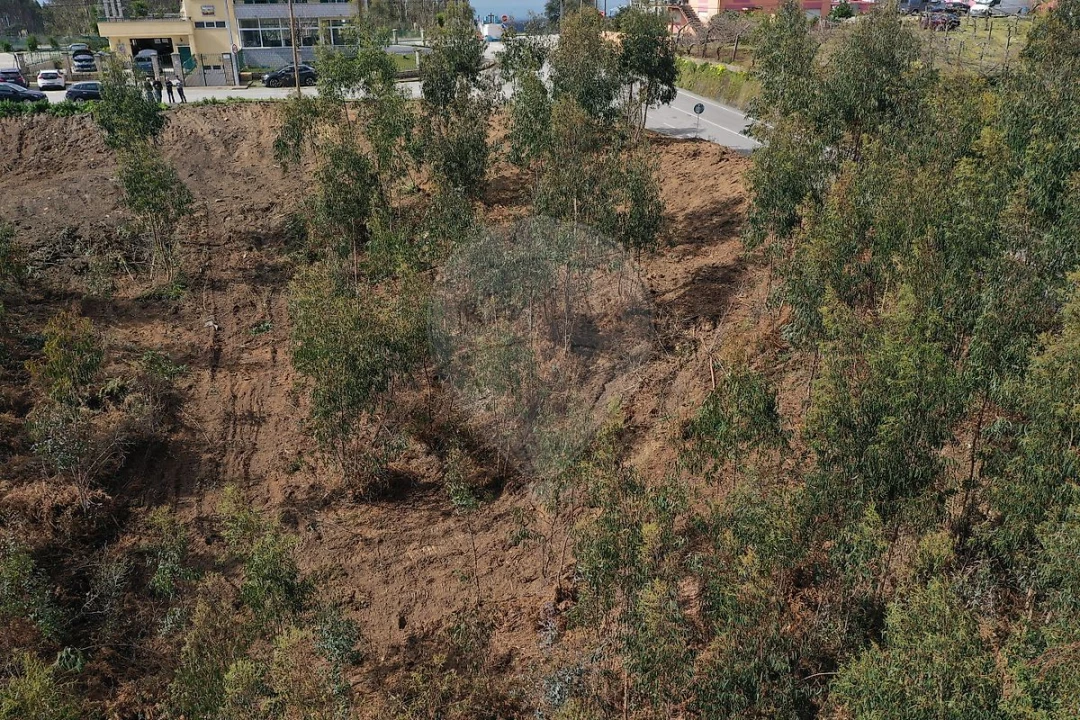 Terreno para Venda em Escapães Foto 5