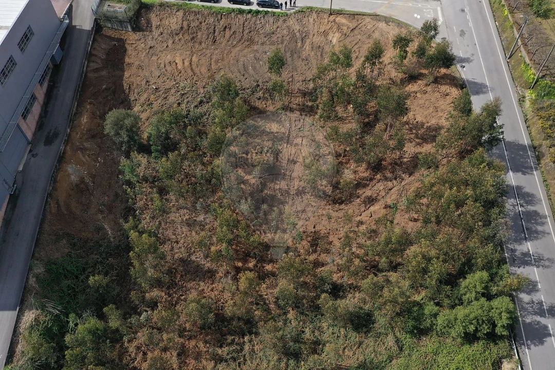 Terreno para Venda em Escapães Foto 2