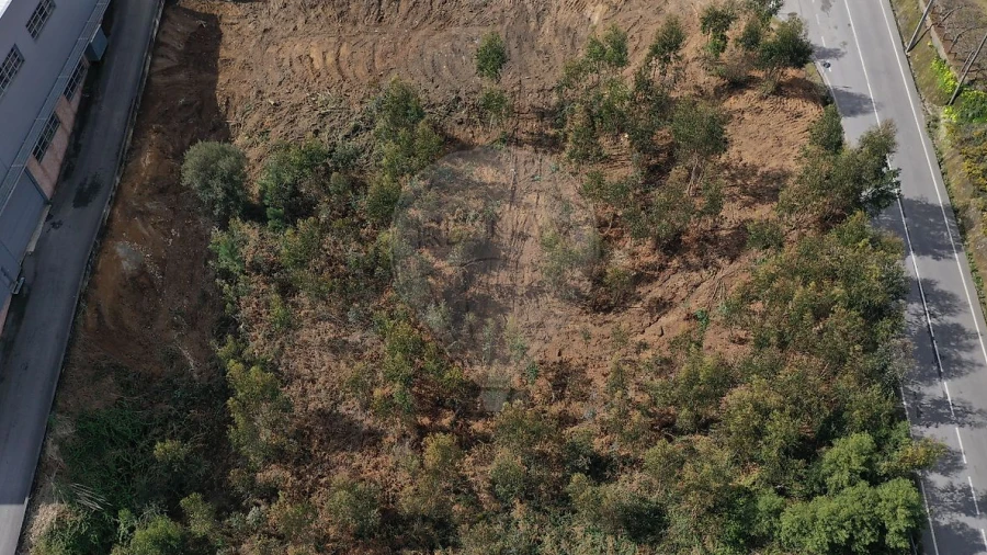 Terreno para Venda em Escapães