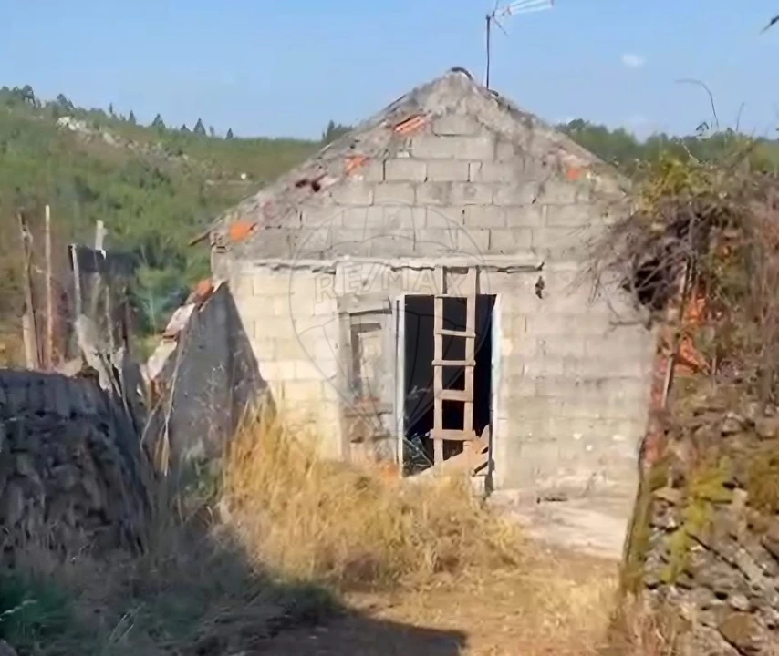 Moradia T2 para Venda em Queiriga Foto 3