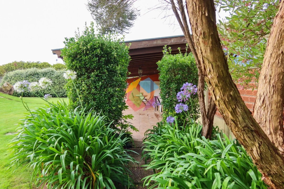 Moradia T5 para Venda em Ovar, São João, Arada e São Vicente de Pereira Jusã Foto 9