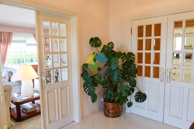 Moradia T5 para Venda em Ovar, São João, Arada e São Vicente de Pereira Jusã Foto 19