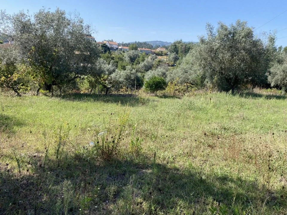 Terreno Agricola ou Rústico para Venda em Arrifana Foto 3