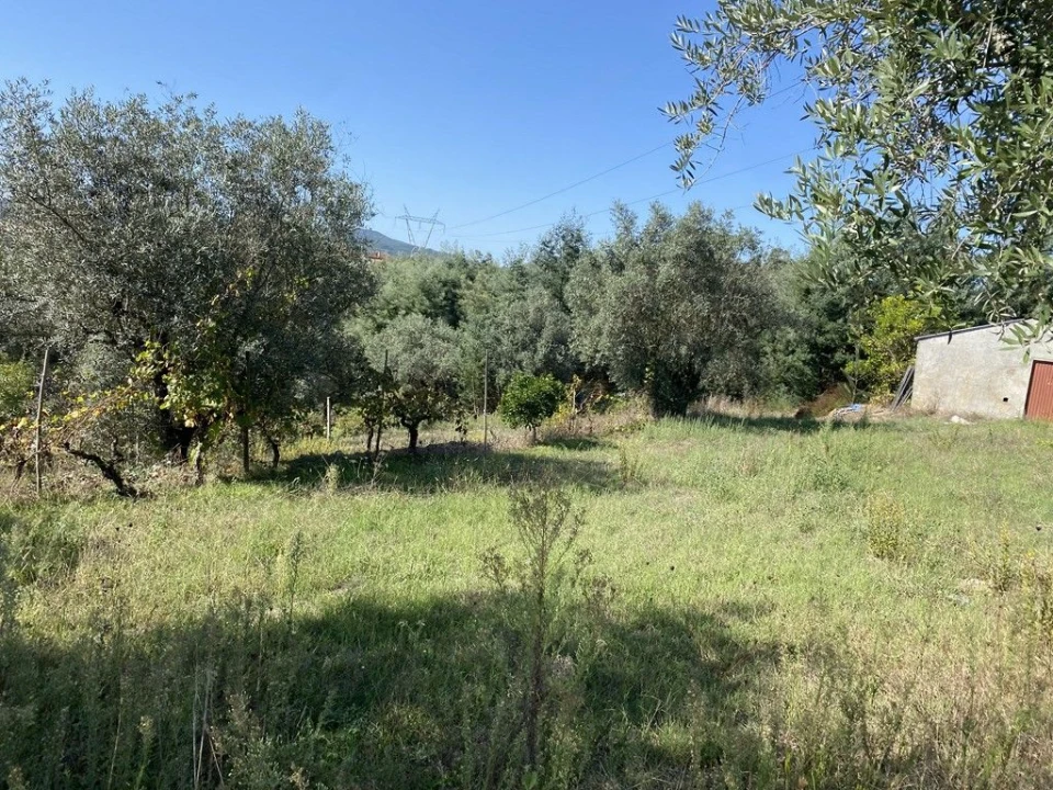Terreno Agricola ou Rústico para Venda em Arrifana Foto 4