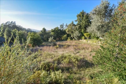 Terreno Agricola ou Rústico para Venda em Arrifana