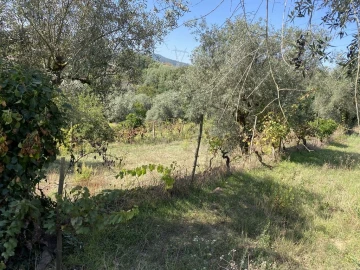 Terreno Agricola ou Rústico para Venda em Arrifana