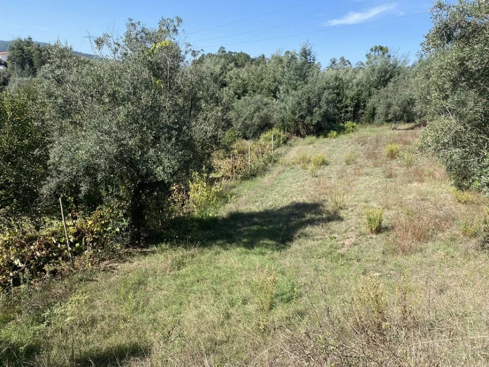 Terreno Agricola ou Rústico para Venda em Arrifana Foto 7