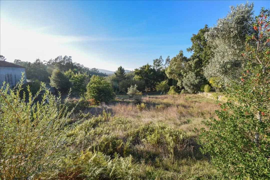 Terreno Agricola ou Rústico para Venda em Arrifana Foto 9