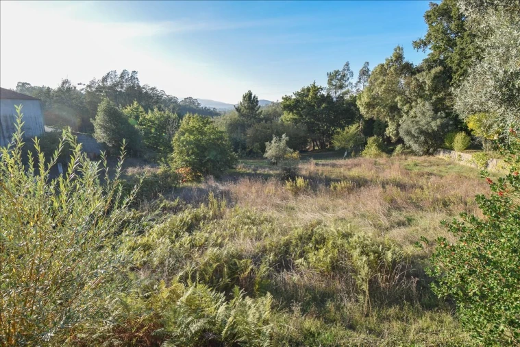 Terreno Agricola ou Rústico para Venda em Arrifana Foto 10