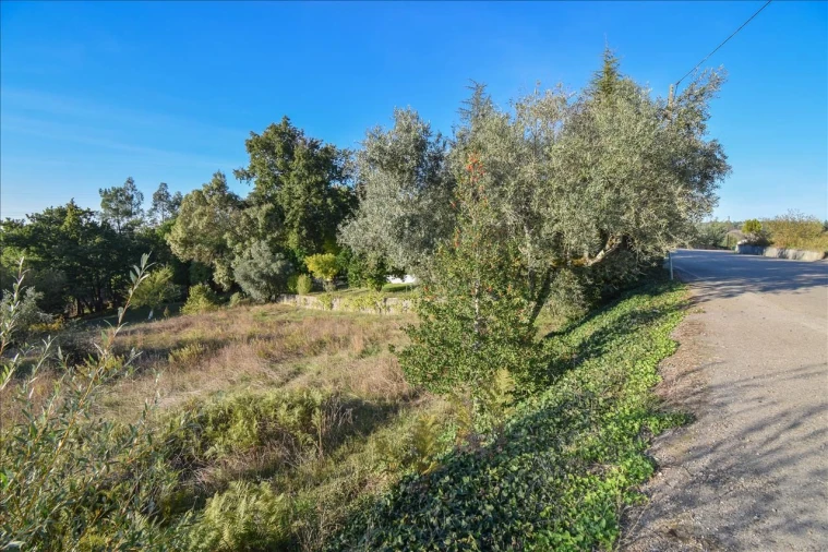 Terreno Agricola ou Rústico para Venda em Arrifana Foto 14