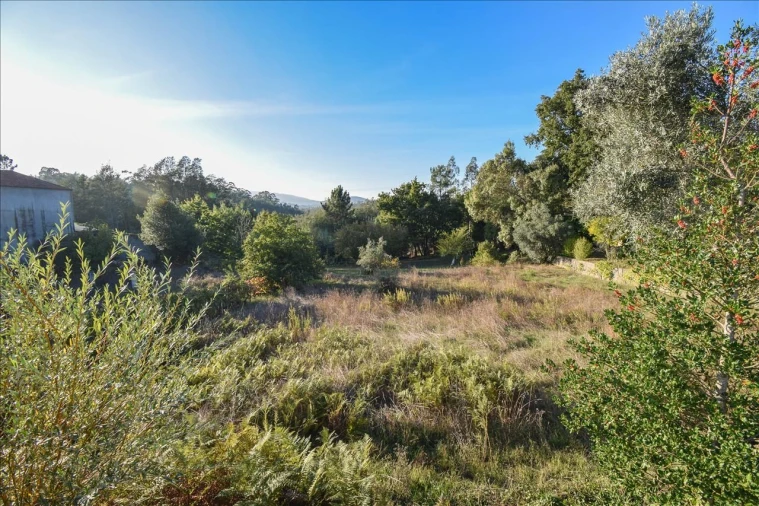 Terreno Agricola ou Rústico para Venda em Arrifana Foto 9