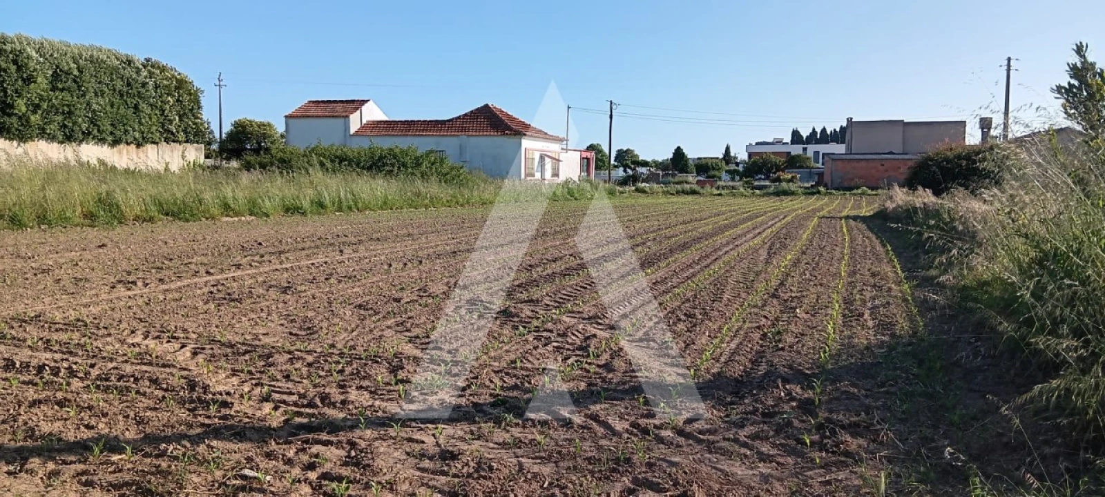 Terreno para Venda em Aradas Foto 4