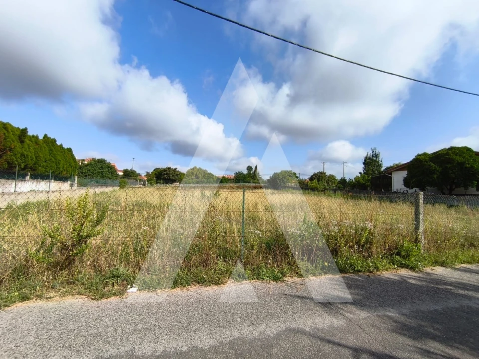 Terreno para Venda em Oiã Foto 2
