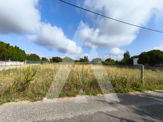 Terreno para Venda em Oiã Foto 2