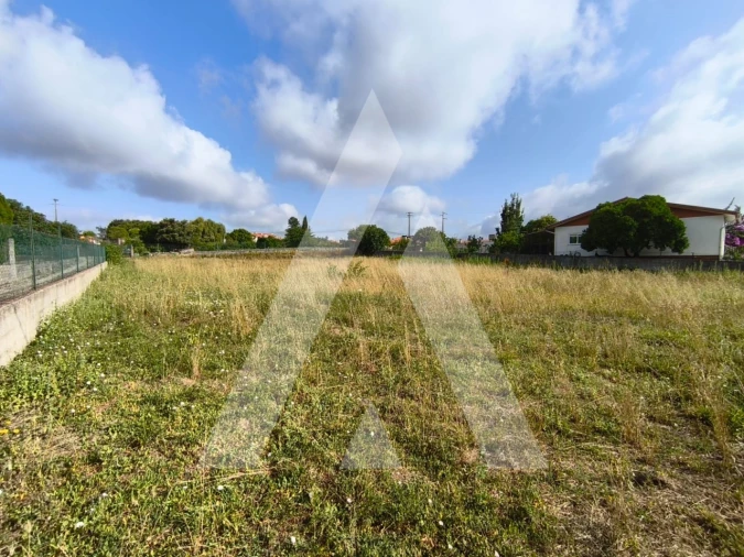 Terreno para Venda em Oiã Foto 5