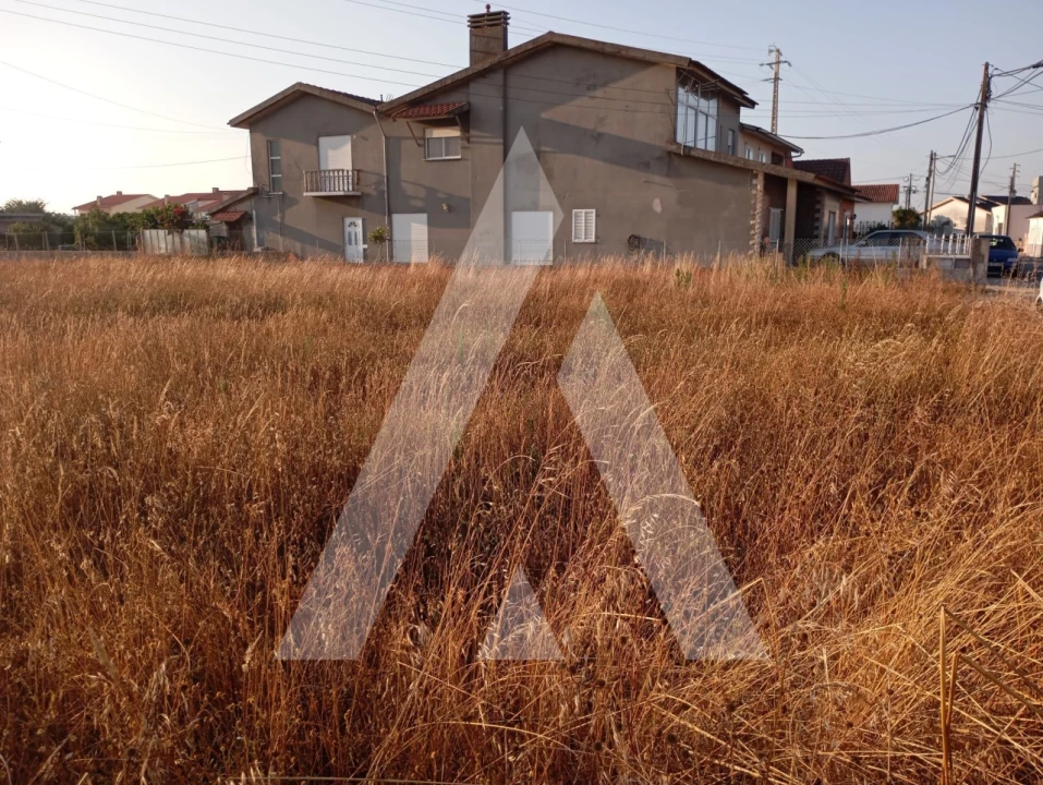 Terreno para Venda em Gafanha da Encarnação Foto 3