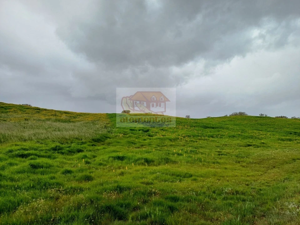 Terreno Agricola ou Rústico para Venda em São Domingos e Vale de Água Foto 4