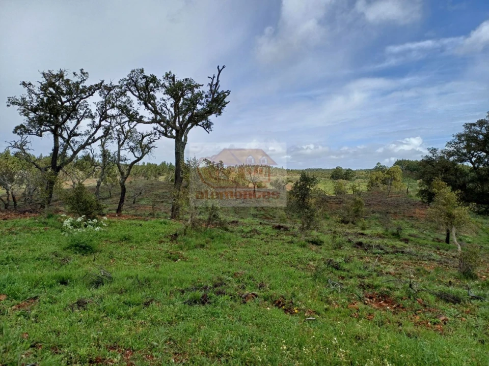 Terreno Agricola ou Rústico para Venda em São Domingos e Vale de Água Foto 10