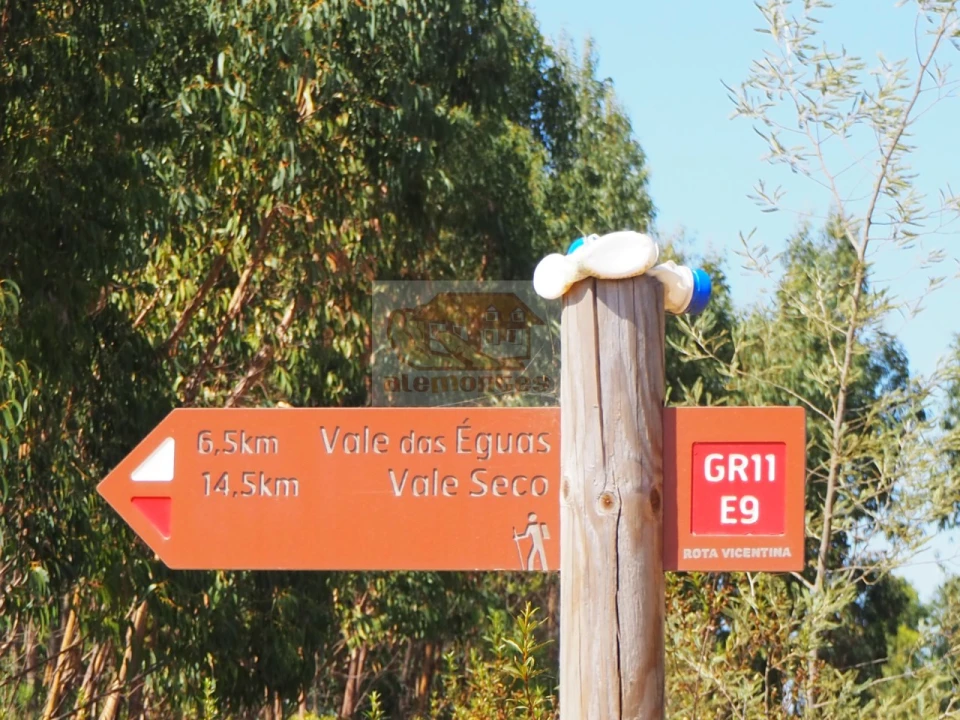 Terreno Agricola ou Rústico para Venda em São Domingos e Vale de Água Foto 6
