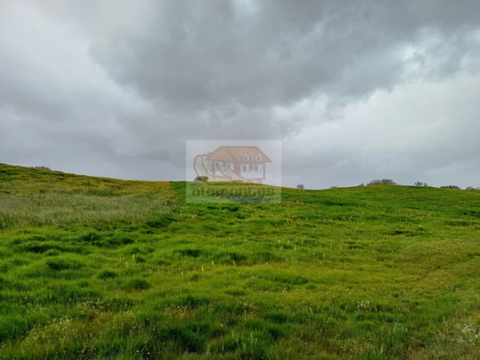 Terreno Agricola ou Rústico para Venda em São Domingos e Vale de Água Foto 4
