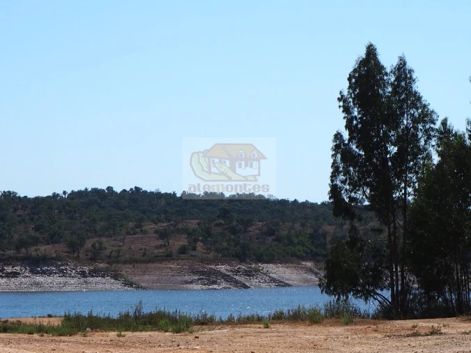 Terreno Agricola ou Rústico para Venda em São Domingos e Vale de Água Foto 1