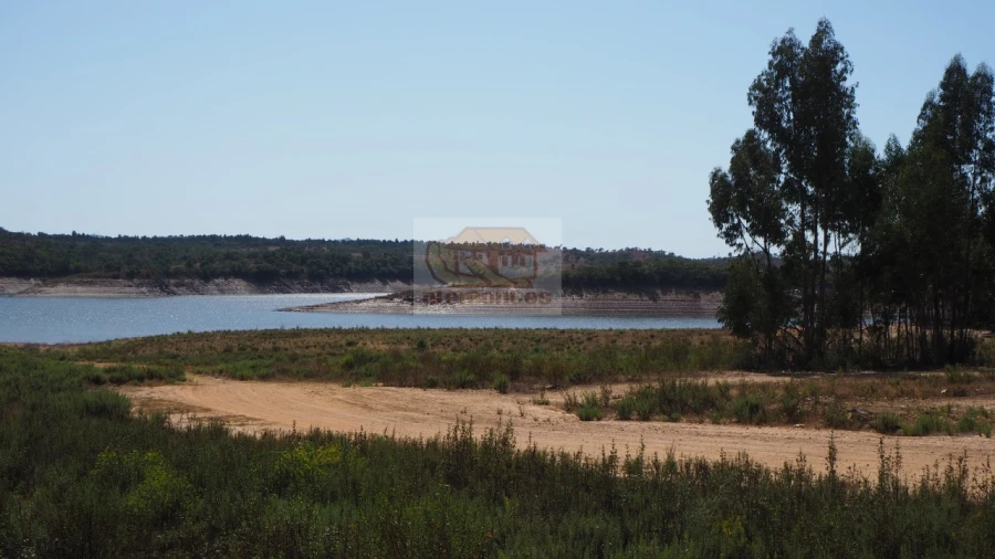 Terreno Agricola ou Rústico para Venda em São Domingos e Vale de Água Foto 13