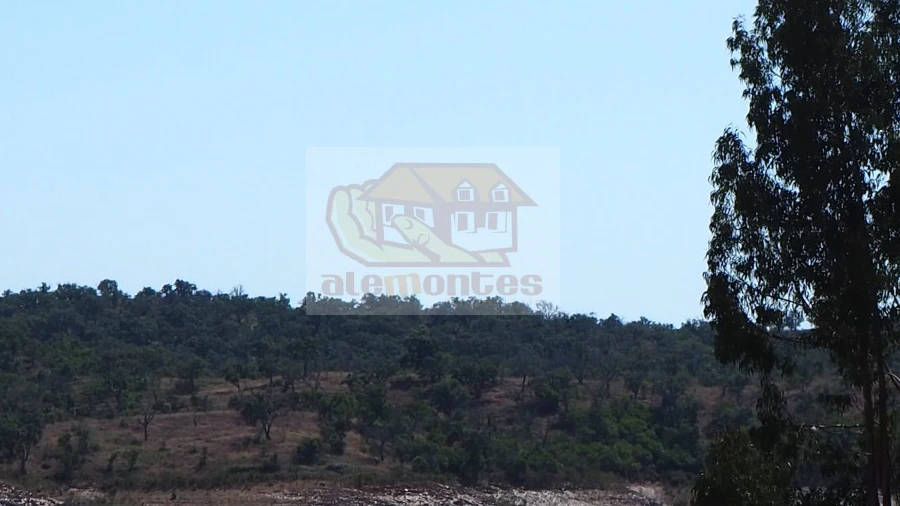 Terreno Agricola ou Rústico para Venda em São Domingos e Vale de Água