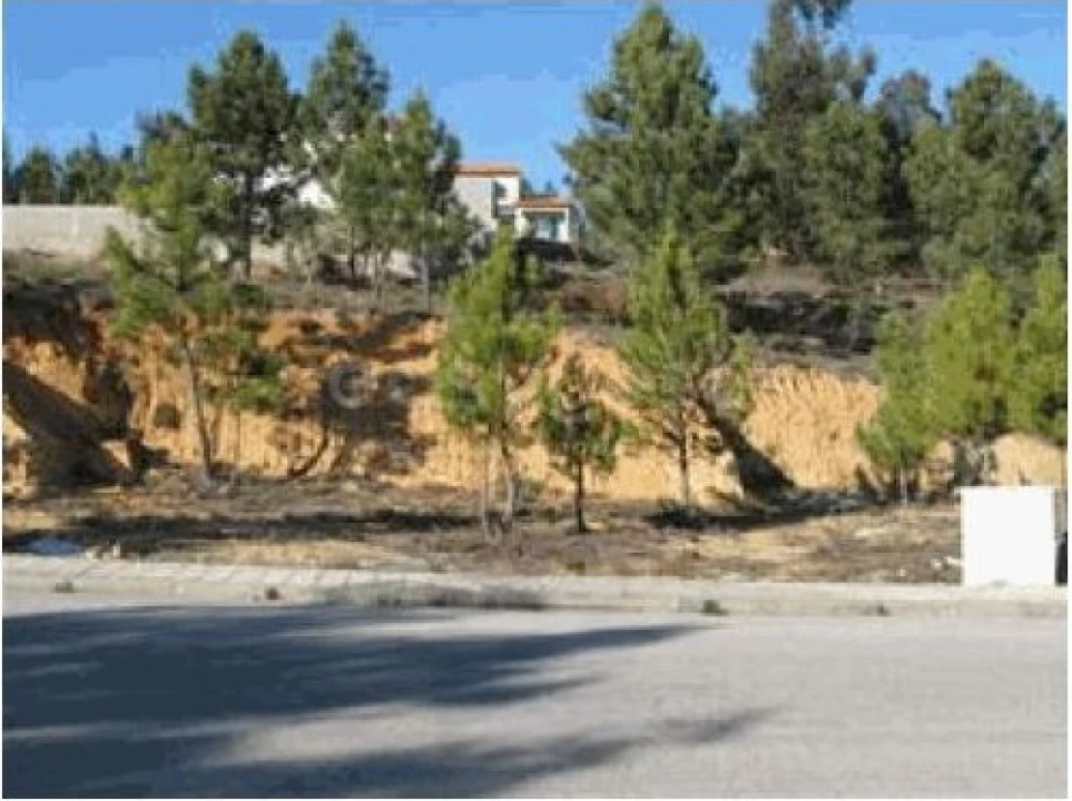 Terreno para Venda em Mação, Penhascoso e Aboboreira Foto 1