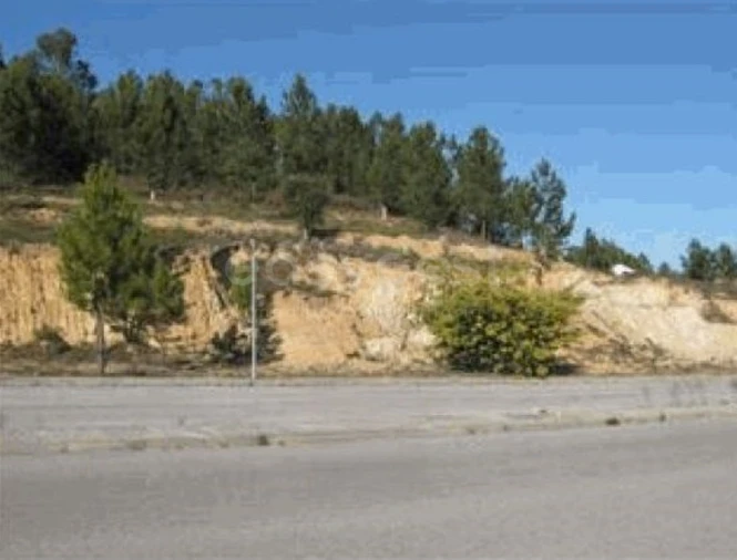 Terreno para Venda em Mação, Penhascoso e Aboboreira Foto 1