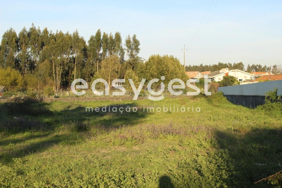 Terreno para Venda em Ovar, São João, Arada e São Vicente de Pereira Jusã Foto 4
